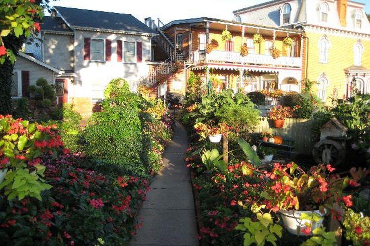 Greystone Manor Bed & Breakfast Bird-in-Hand المظهر الخارجي الصورة